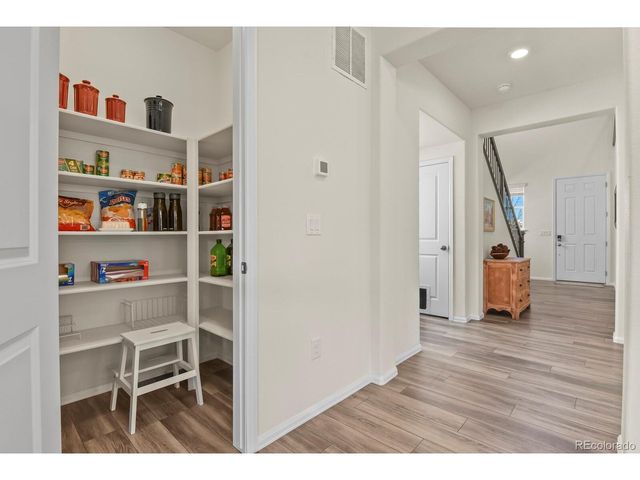 3294 Sellman Loop, Castle Rock, CO 80109