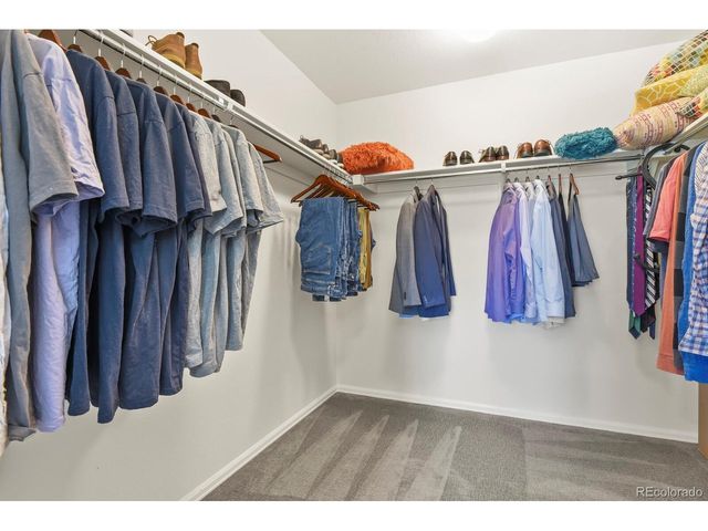 3294 Sellman Loop, Castle Rock, CO 80109