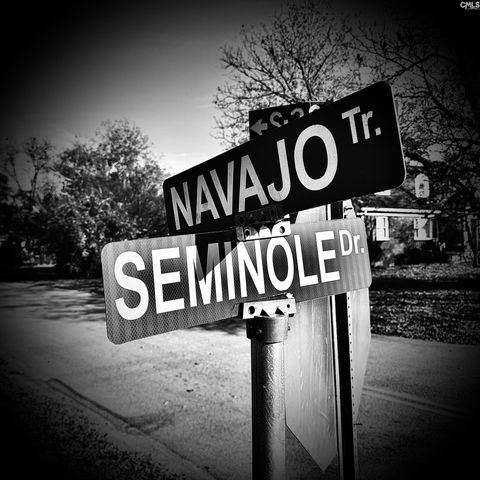 1100 Seminole Drive, West Columbia, SC 29169