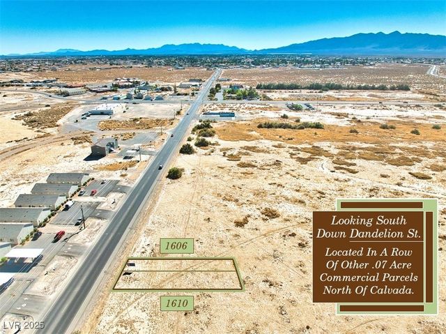 1606 South Dandelion Street, Pahrump, NV 89048