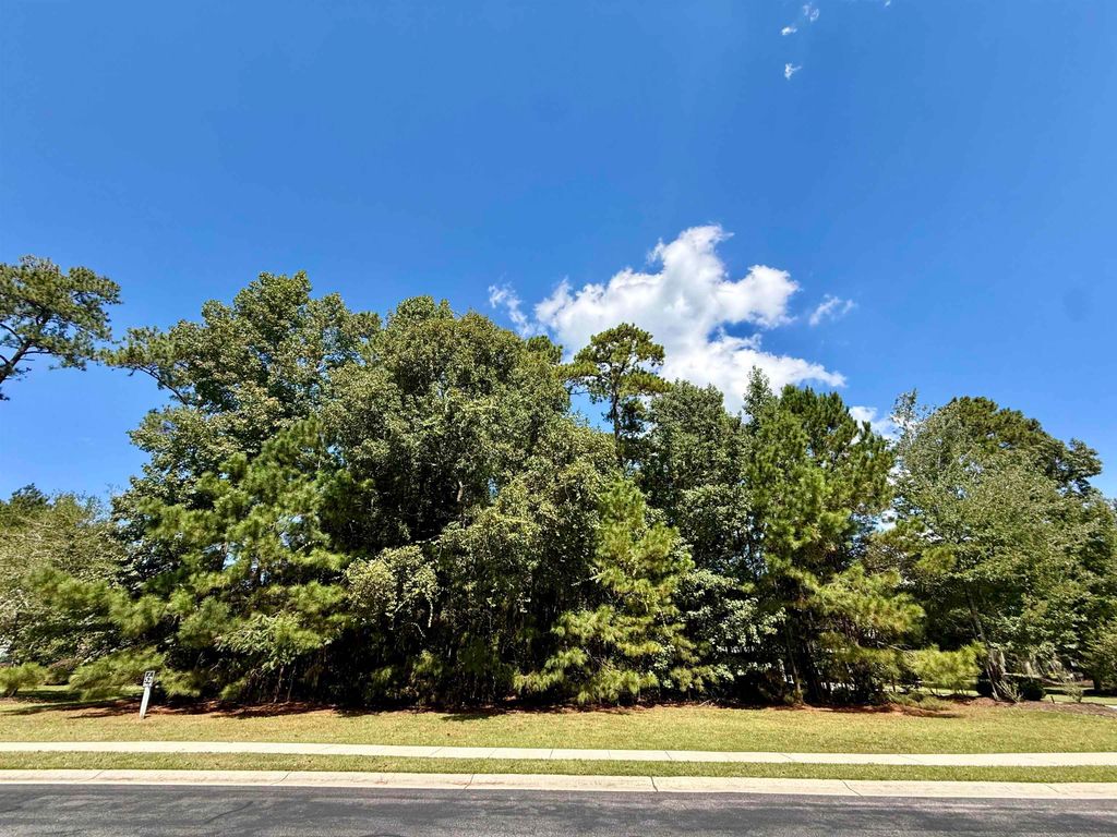 155 Low Country Loop, Murrells Inlet, SC 29576 — photo 2