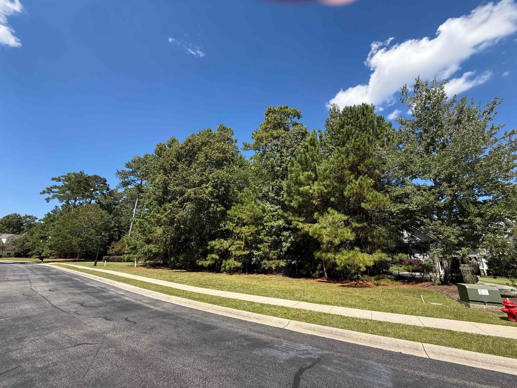 155 Low Country Loop, Murrells Inlet, SC 29576 — photo 3