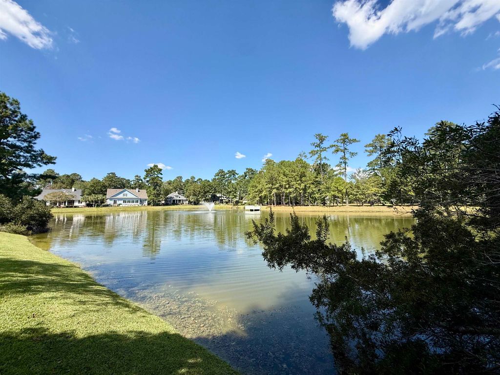155 Low Country Loop, Murrells Inlet, SC 29576 — photo 4