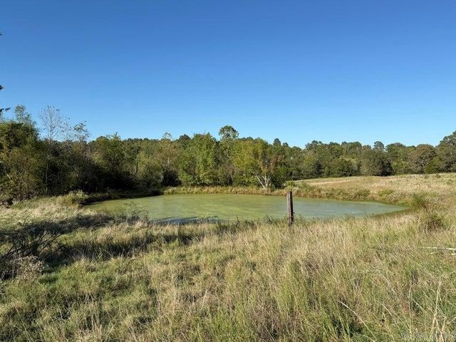 459 Ash Trail, Mount Pleasant, AR 72561