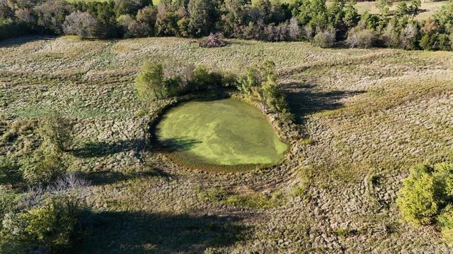 459 Ash Trail, Mount Pleasant, AR 72561