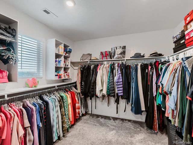 497 Gold Hill Dr, Erie, CO 80516