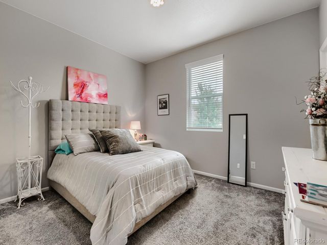 497 Gold Hill Dr, Erie, CO 80516