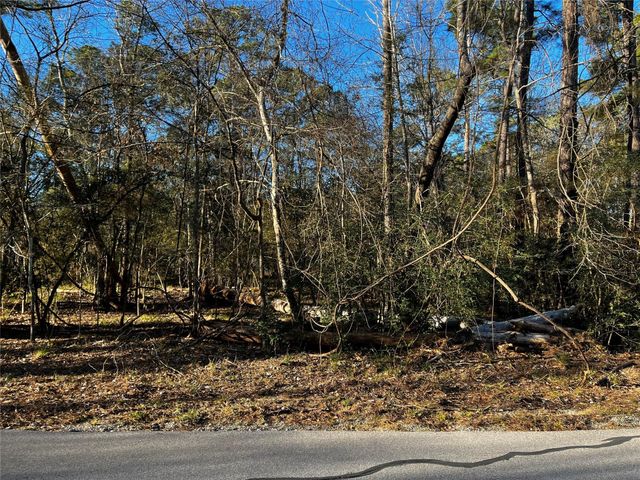 172 N Fairway Loop, Coldspring, TX 77331