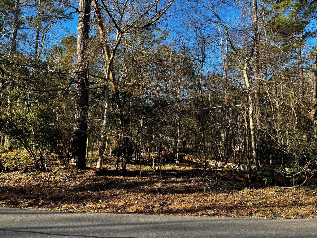 172 N Fairway Loop, Coldspring, TX 77331