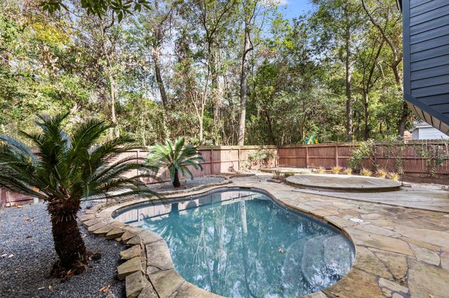 18 N Wilde Yaupon Circle, The Woodlands, TX 77381