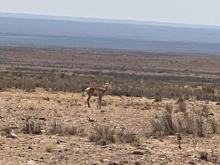 Rolling Hills Lot 47, San Antonio, NM 87801