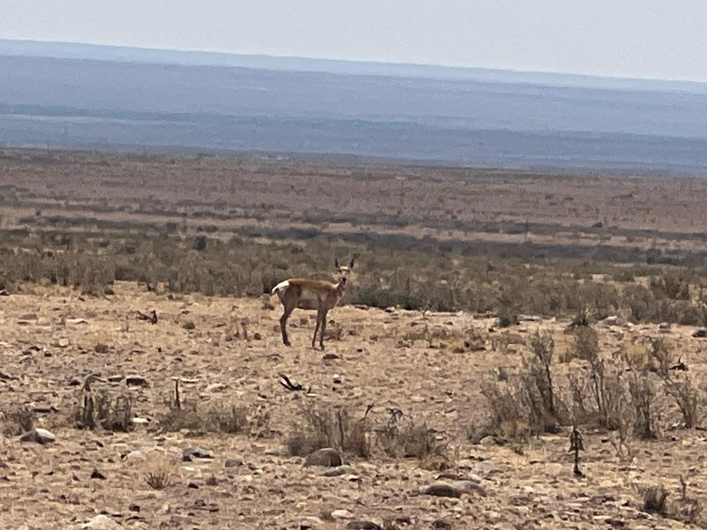 Rolling Hills Lot 47, San Antonio, NM 87801