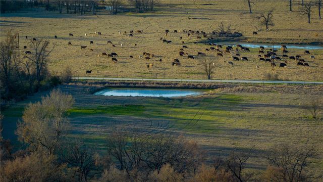 1728 Cr 384, Marquez, TX 77865