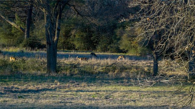 1728 Cr 384, Marquez, TX 77865