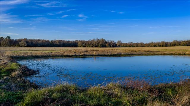 1728 Cr 384, Marquez, TX 77865