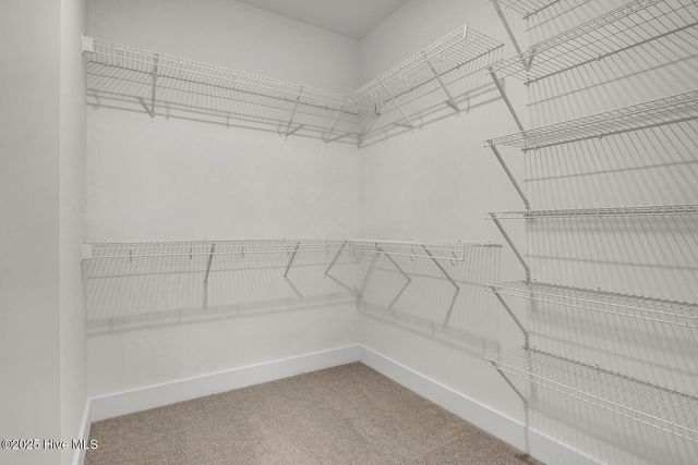 655 Heart Pine Avenue, Wilmington, NC 28411