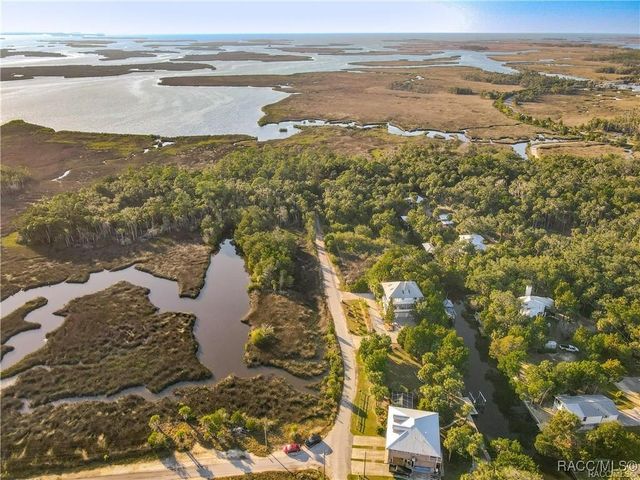 12123 W Bald Eagle Court, Crystal River, FL 34429