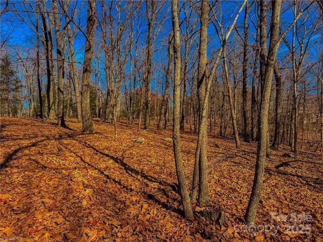 1644 Sierra Trace Road, Denton, NC 27239