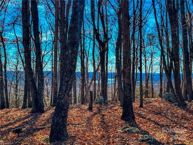 1644 Sierra Trace Road, Denton, NC 27239