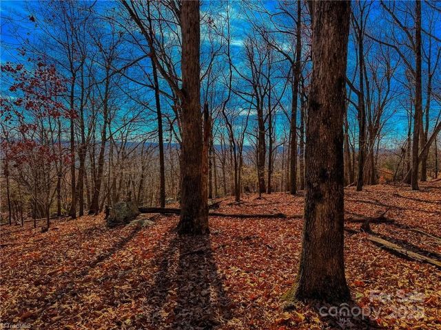 1644 Sierra Trace Road, Denton, NC 27239