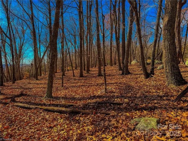1644 Sierra Trace Road, Denton, NC 27239