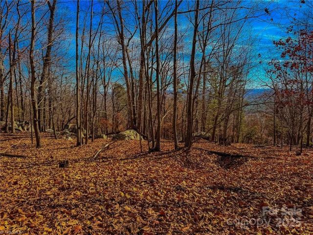 1644 Sierra Trace Road, Denton, NC 27239
