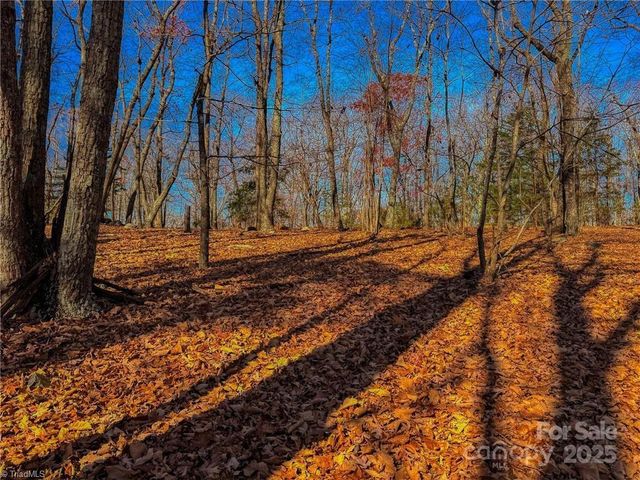 1644 Sierra Trace Road, Denton, NC 27239
