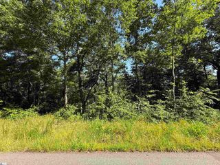 1136 Packs Mountain Ridge Road, Taylors, SC 29687