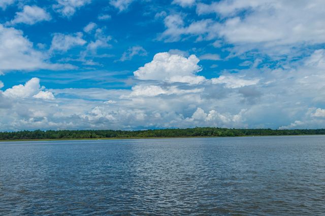 2810 Rivertowne Parkway, Mount Pleasant, SC 29466