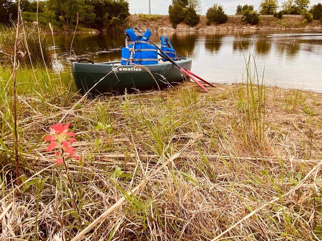 19001 County Road 334, Quinlan, TX 75474