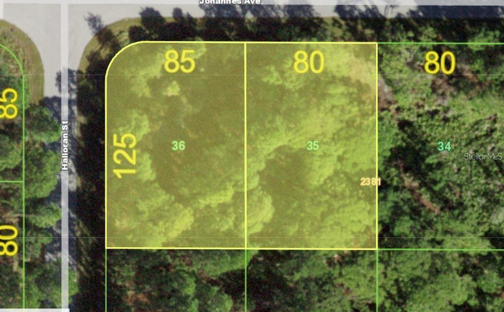 13069-13061 JOHANNES AVENUE, Port Charlotte, FL 33953