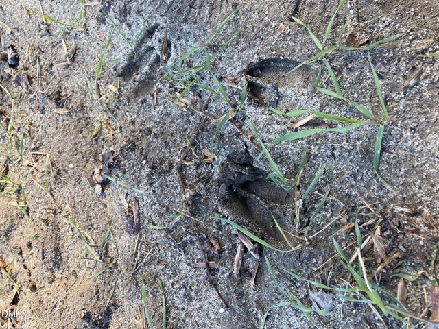 3038 Brogden Road, Smithfield, NC 27577