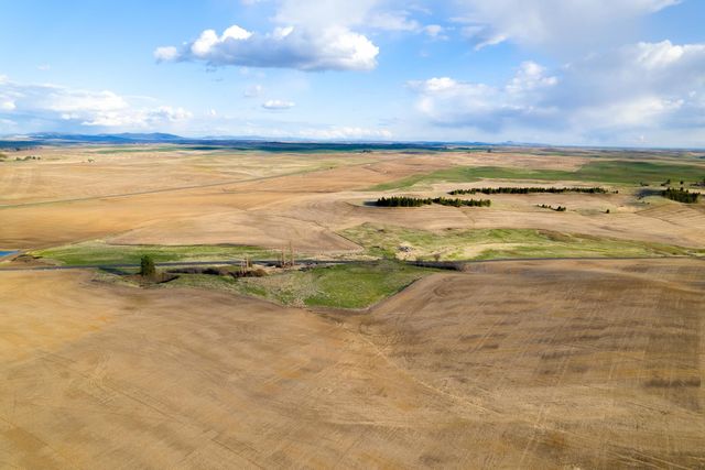 Lot 2 NKA Cheney Spangle Rd, Spangle, WA 99031