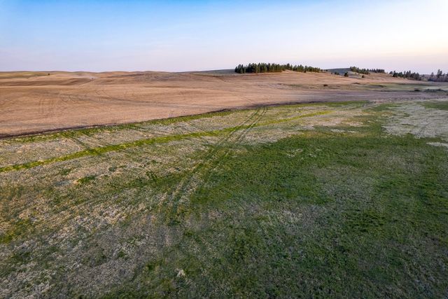 Lot 2 NKA Cheney Spangle Rd, Spangle, WA 99031