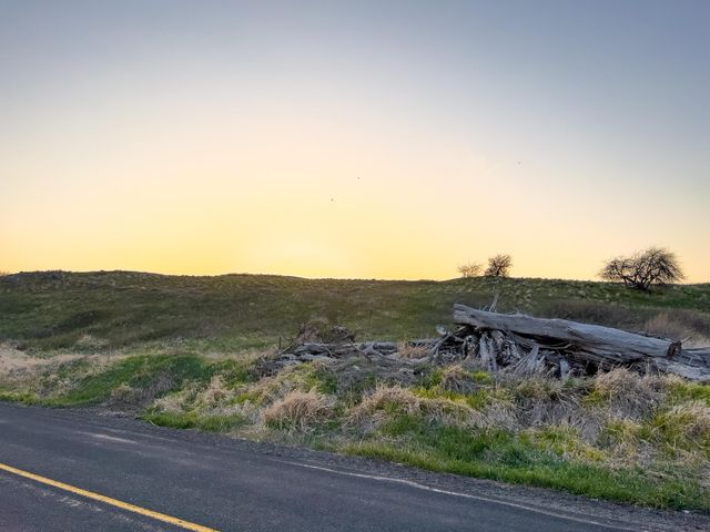 Lot 2 NKA Cheney Spangle Rd, Spangle, WA 99031