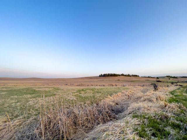 Lot 2 NKA Cheney Spangle Rd, Spangle, WA 99031