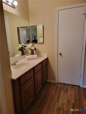 238 Bushtail Drive, New Braunfels, TX 78130