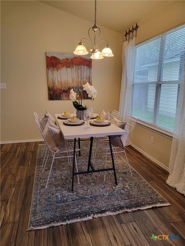 238 Bushtail Drive, New Braunfels, TX 78130