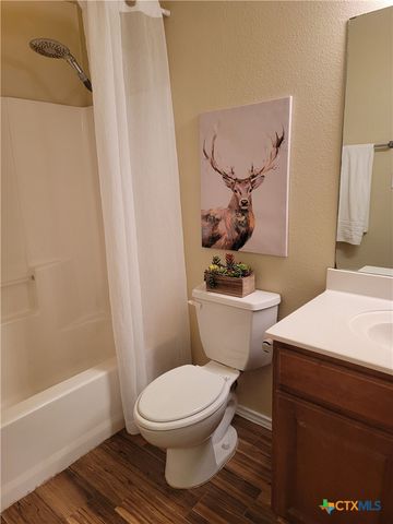 238 Bushtail Drive, New Braunfels, TX 78130