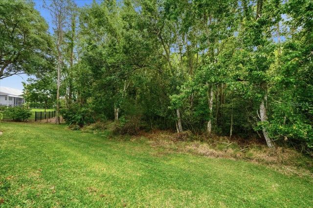 19106 SAINT LAURENT DRIVE, Lutz, FL 33558