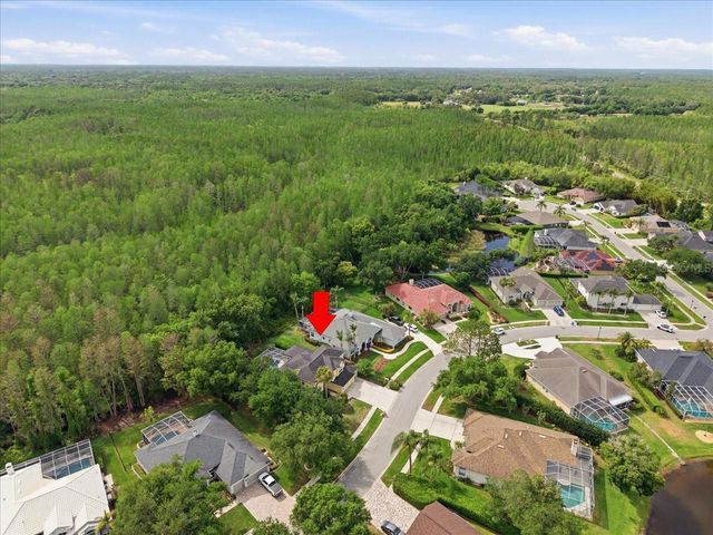 19106 SAINT LAURENT DRIVE, Lutz, FL 33558