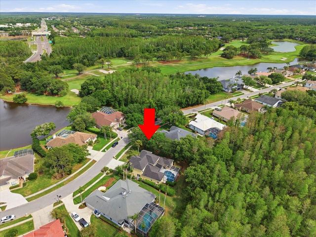 19106 SAINT LAURENT DRIVE, Lutz, FL 33558