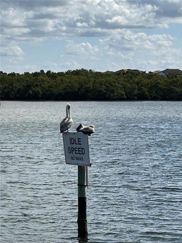 809 BAHIA DEL SOL DRIVE 72, Ruskin, FL 33570