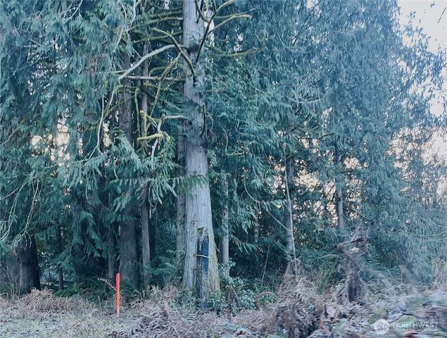 0 Valley Ridge Road, Chehalis, WA 98532