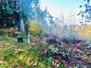 0 Valley Ridge Road, Chehalis, WA 98532