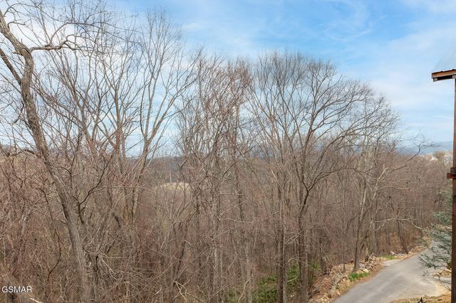 1253 Bear Cub Way, Gatlinburg, TN 37738