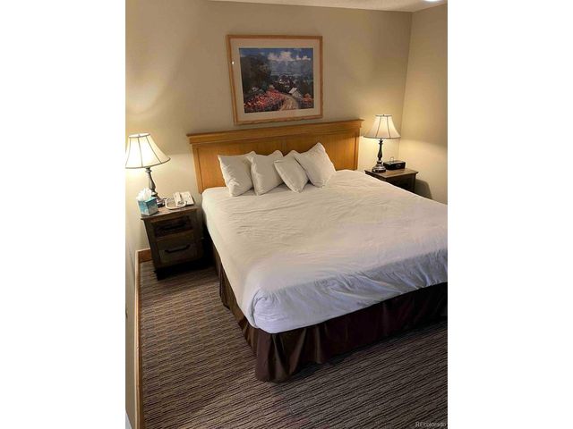 6 Emmons Rd 269, Crested Butte, CO 81225