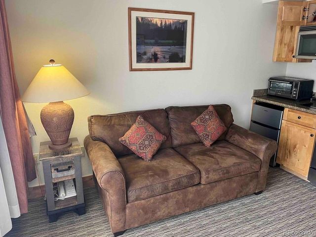 6 Emmons Rd 269, Crested Butte, CO 81225