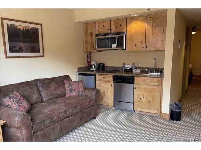 6 Emmons Rd 269, Crested Butte, CO 81225