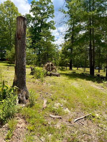 651 Tilleys Lane, Wellington, KY 40387